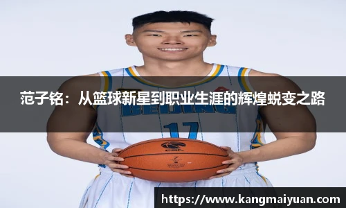 完美体育登录入口